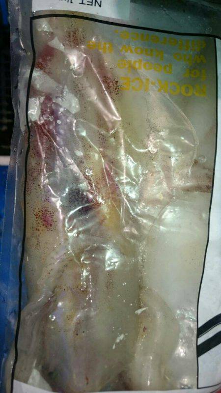 海龍丸（石川） 釣果