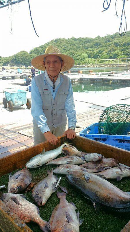 海の釣堀 海恵 釣果