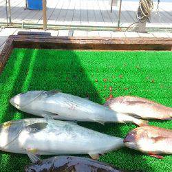 海の釣堀 海恵 釣果