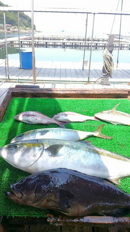 海の釣堀 海恵 釣果