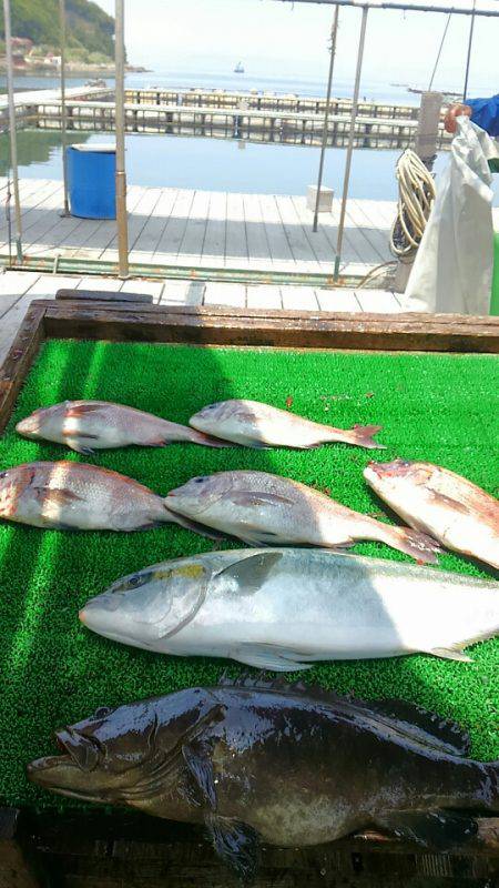 海の釣堀 海恵 釣果