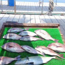 海の釣堀 海恵 釣果