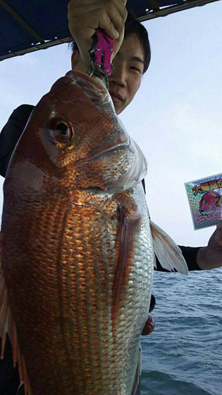 タイラバ遊漁船 ワンピース 釣果