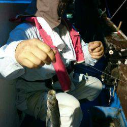 海龍丸（石川） 釣果