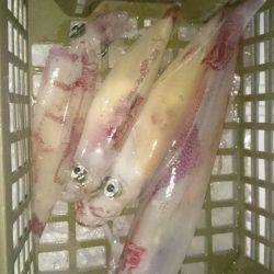 海龍丸（石川） 釣果