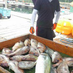 海の釣堀 海恵 釣果
