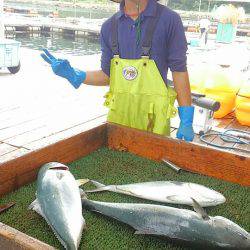 海の釣堀 海恵 釣果