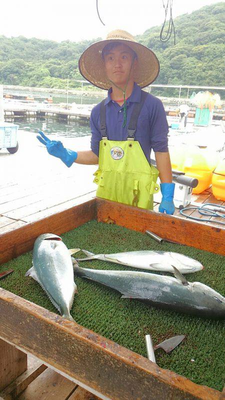 海の釣堀 海恵 釣果