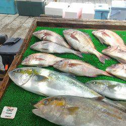海の釣堀 海恵 釣果