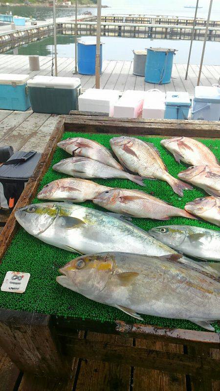 海の釣堀 海恵 釣果