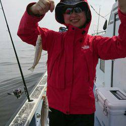 金沢八景鴨下丸 釣果