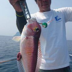 ARCADIAⅡ (アルカディアⅡ) 釣果