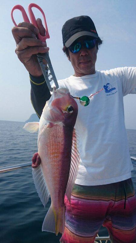 ARCADIAⅡ (アルカディアⅡ) 釣果