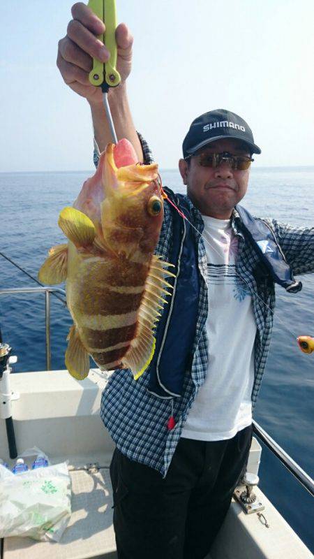 ARCADIAⅡ (アルカディアⅡ) 釣果