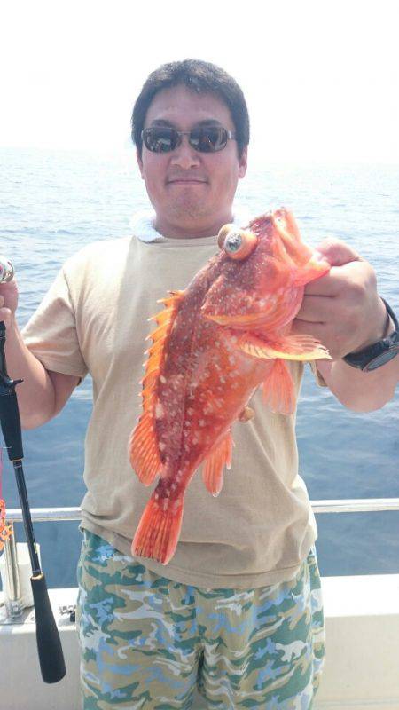 ARCADIAⅡ (アルカディアⅡ) 釣果