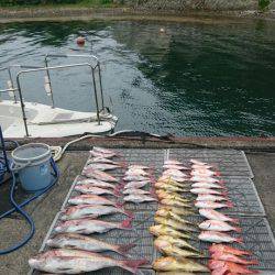 ARCADIAⅡ (アルカディアⅡ) 釣果