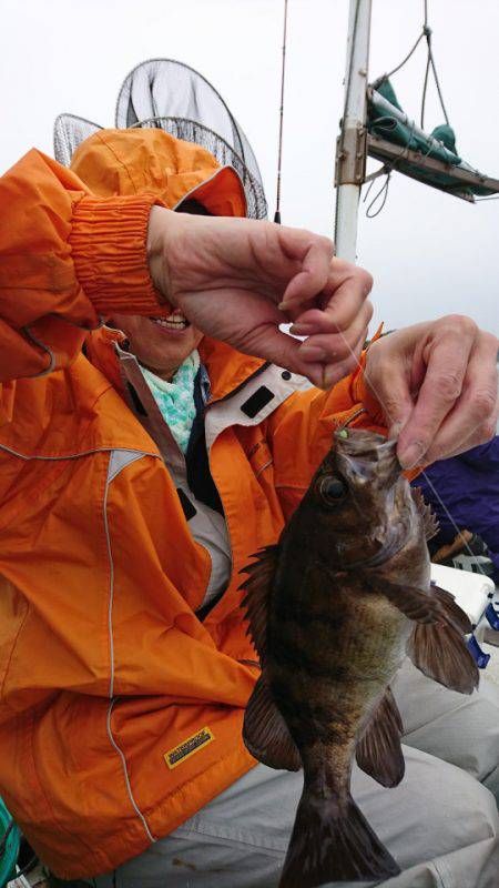 美宝丸 釣果
