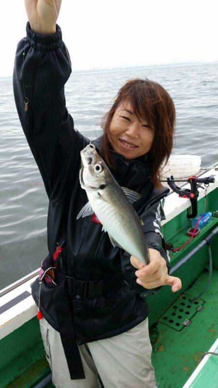 金沢八景鴨下丸 釣果