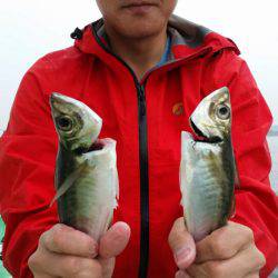 金沢八景鴨下丸 釣果