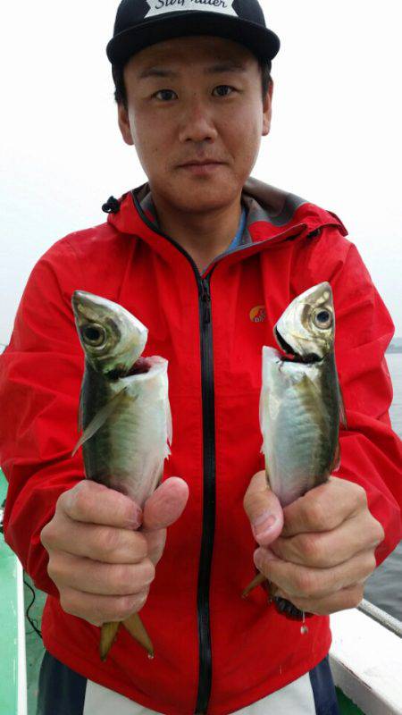 金沢八景鴨下丸 釣果