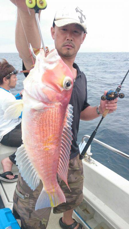 ARCADIAⅡ (アルカディアⅡ) 釣果