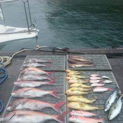 ARCADIAⅡ (アルカディアⅡ) 釣果