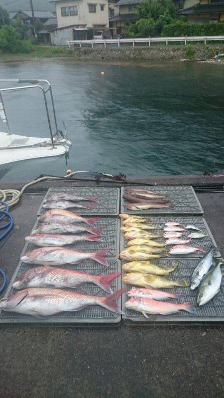 ARCADIAⅡ (アルカディアⅡ) 釣果