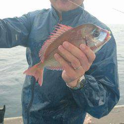 海龍丸（石川） 釣果