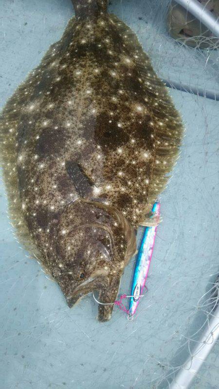 サンマリン 釣果