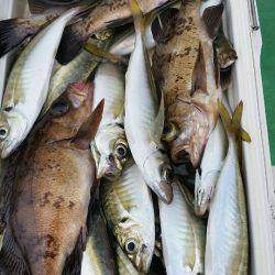 金沢八景鴨下丸 釣果