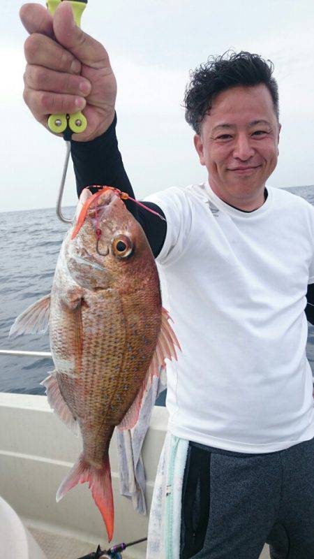 ARCADIAⅡ （アルカディアⅡ） 釣果