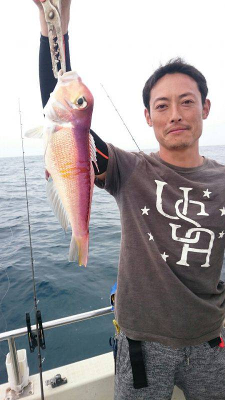 ARCADIAⅡ （アルカディアⅡ） 釣果