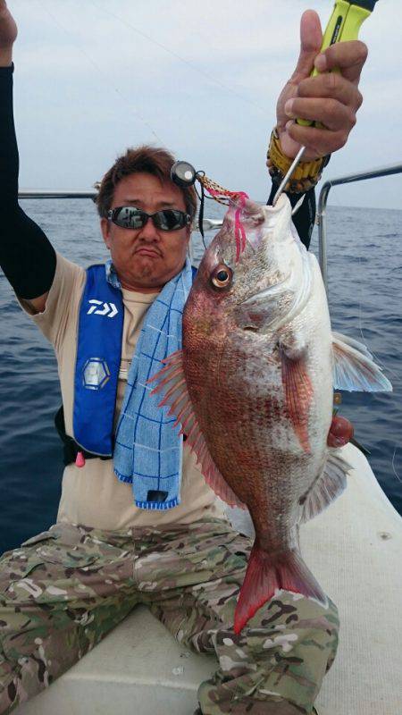 ARCADIAⅡ （アルカディアⅡ） 釣果