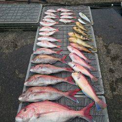 ARCADIAⅡ （アルカディアⅡ） 釣果