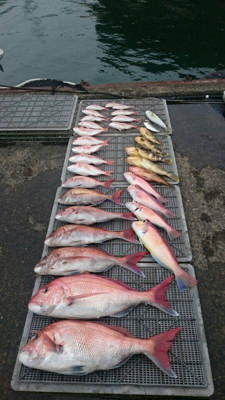 ARCADIAⅡ （アルカディアⅡ） 釣果