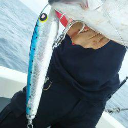 サンマリン 釣果