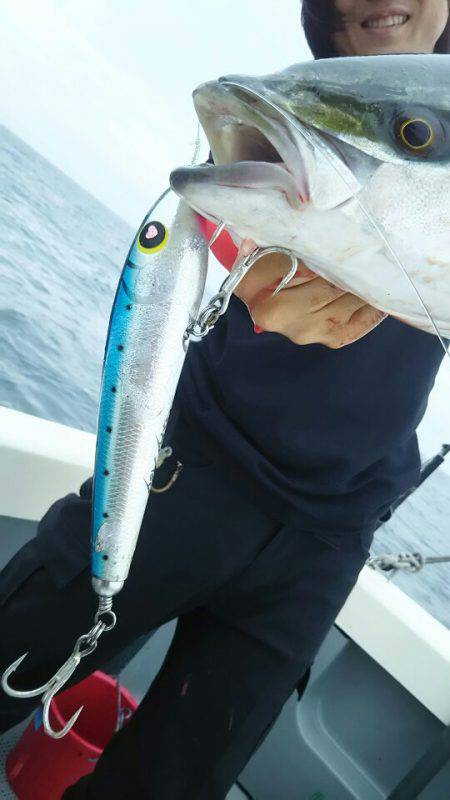 サンマリン 釣果