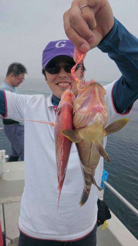 ARCADIAⅡ (アルカディアⅡ) 釣果