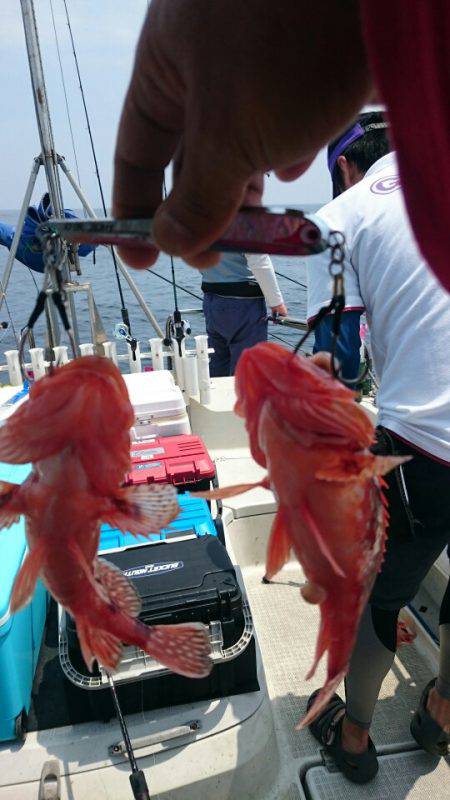 ARCADIAⅡ (アルカディアⅡ) 釣果