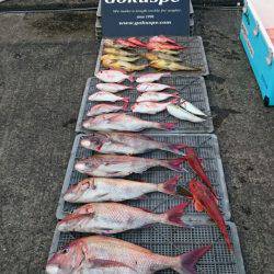 ARCADIAⅡ (アルカディアⅡ) 釣果