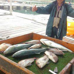 海の釣堀 海恵 釣果