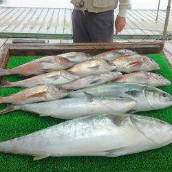 海の釣堀 海恵 釣果