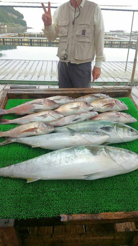 海の釣堀 海恵 釣果