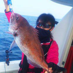 ブルドック 釣果