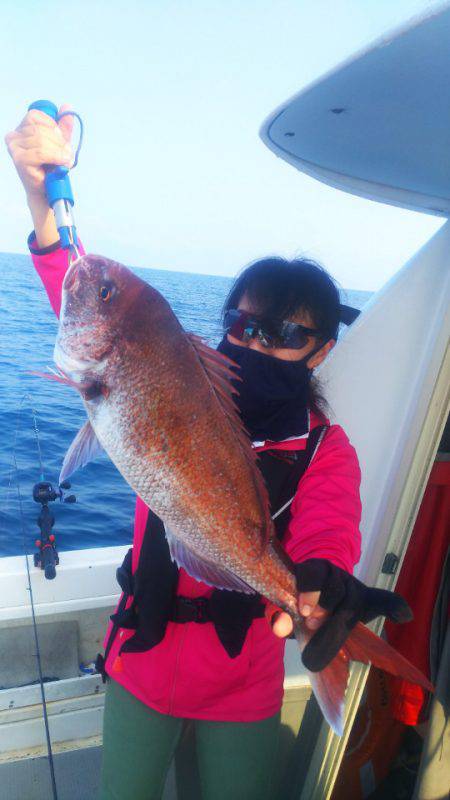 ブルドック 釣果