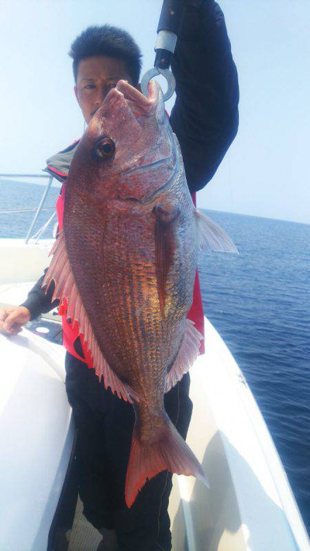 ブルドック 釣果