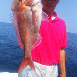 ブルドック 釣果