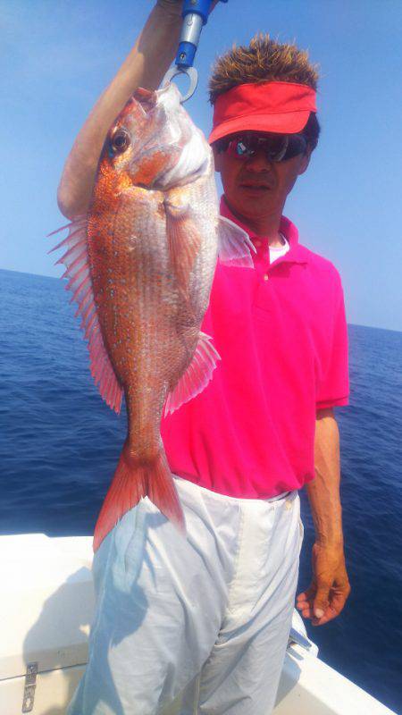 ブルドック 釣果