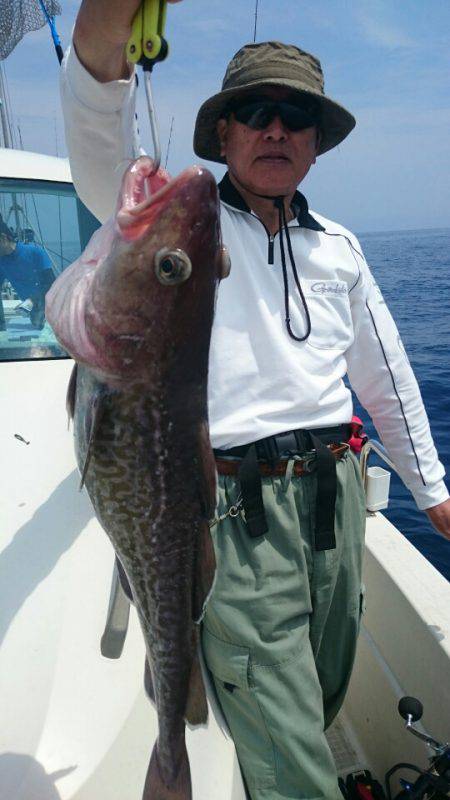 ARCADIAⅡ （アルカディアⅡ） 釣果…