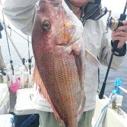 ARCADIAⅡ (アルカディアⅡ) 釣果